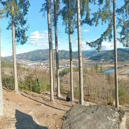 Herzogberghof Guest house