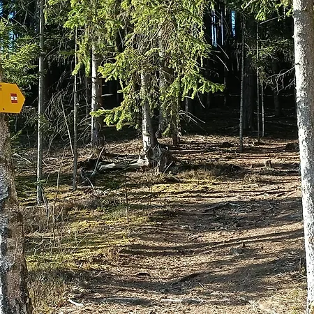 Guest house Herzogberghof Kindberg