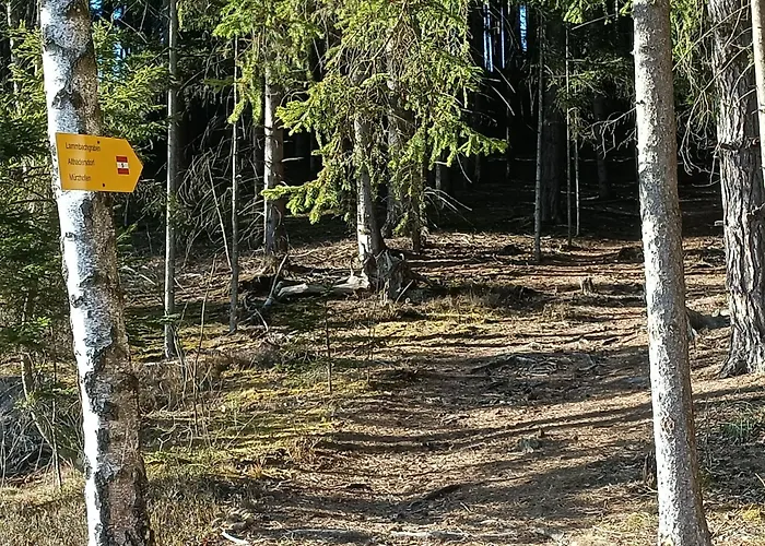 Gasthuis Herzogberghof Kindberg