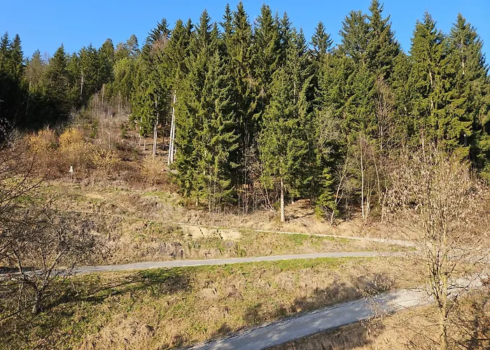 Herzogberghof 게스트하우스 킨드버그